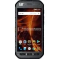 Cat S41