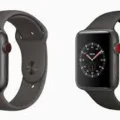 Apple Watch Edition Series 5