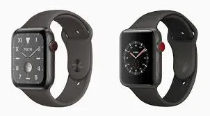 Apple Watch Edition Series 5