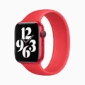 Apple Watch Edition Series 6