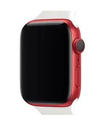 Apple Watch Edition Series 6