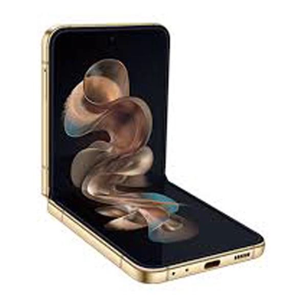 Samsung Galaxy W24 Flip